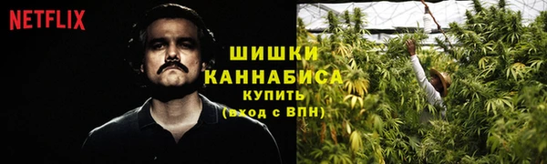 гидропоника Белокуриха
