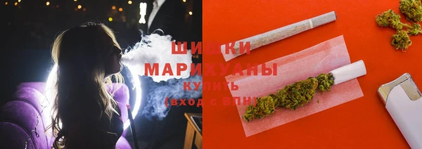 гидропоника Белокуриха
