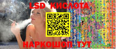бошки Камышлов