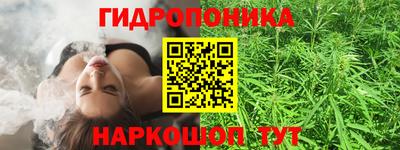 бошки Камышлов