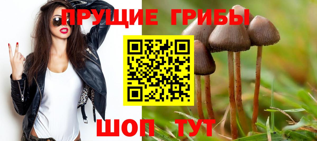 Псилоцибиновые грибы Magic Shrooms  Псилоцибиновые грибы ЛСД  Вход с VPN  где купить наркотик  Кушва 
